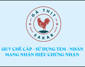 QĐ số 575/QĐ-UBND Ban hành quy chế cấp và sử dụng tem nhãn mang nhãn hiệu chứng nhận Gà Thịt Eakar